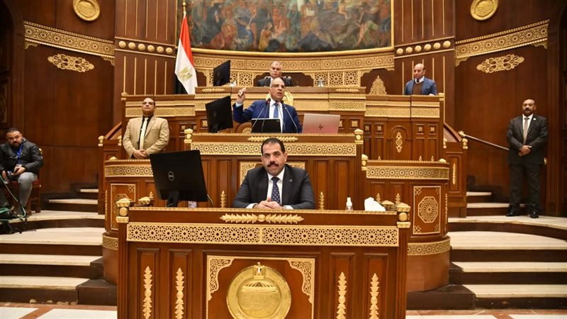 وزير الري أمام جلسة