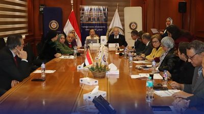 الأعلى للجامعات ينظم ورشة عمل متخصصة حول تصميم البرامج البينية