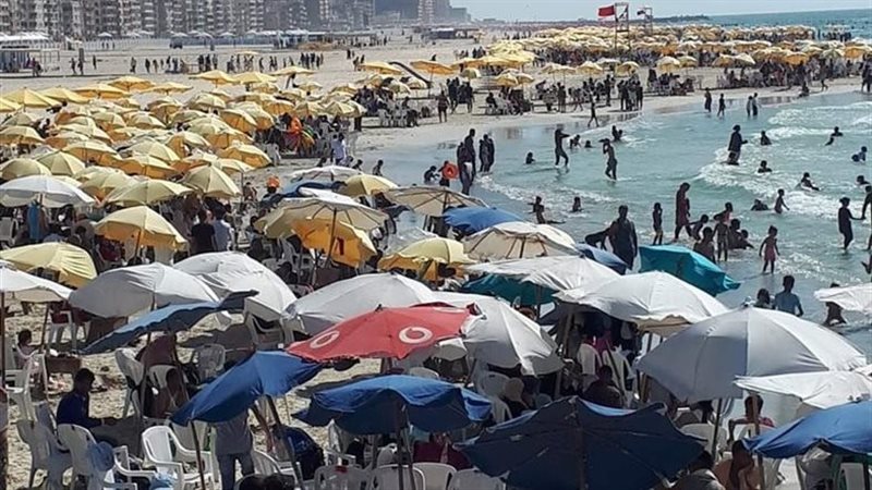 شاطئ النخيل بالإسكندرية،