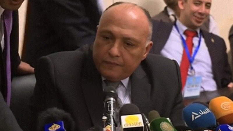 سامح شكري، فيتو