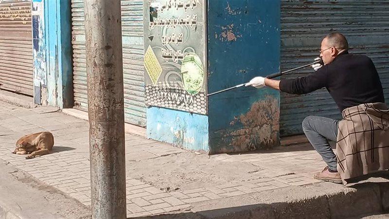 استهداف كلب ضال بدمنهور