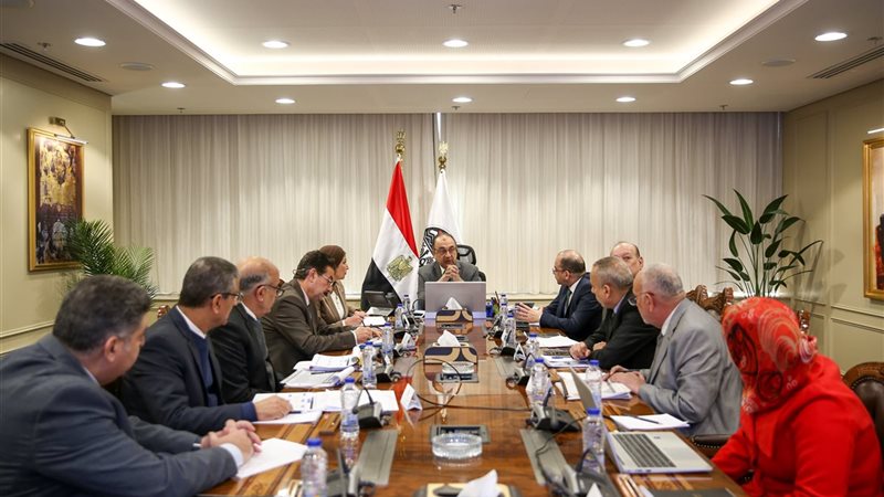 المهندس محمد الشيمي