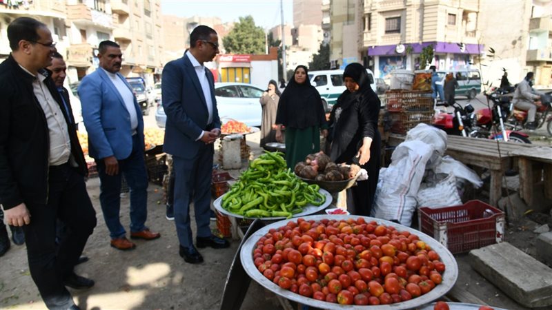 محافظ الفيوم يتفقد