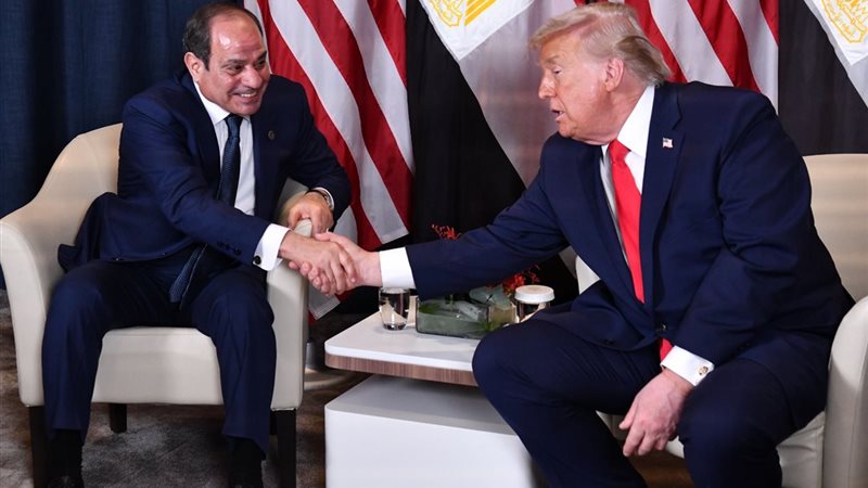 لقاء الرئيس عبدالفتاح