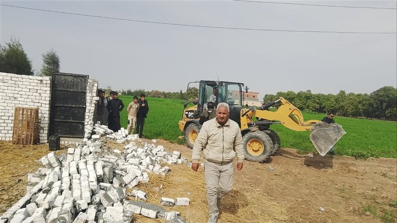 حملات الإزالة بالإسماعيلية،