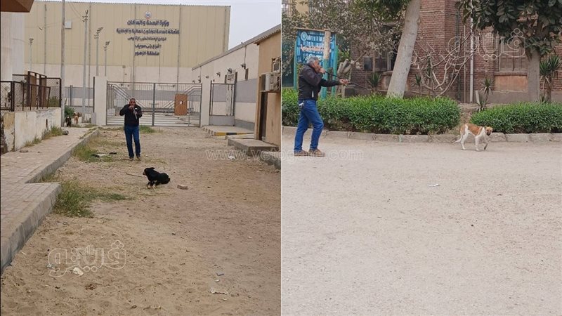 الطب البيطري ببني