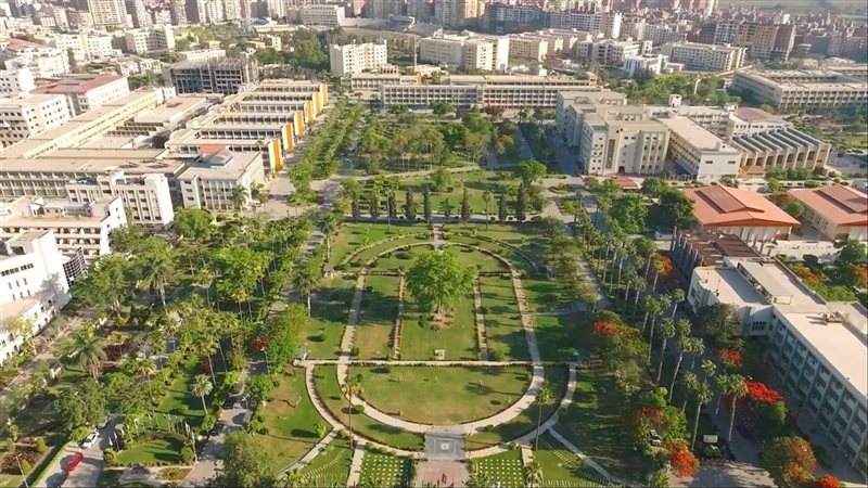 جامعة المنصورة، فيتو