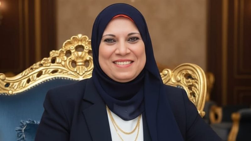 وكيل تضامن الدقهلية،