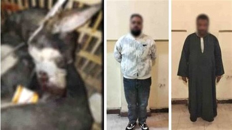 ضبط المتهمين