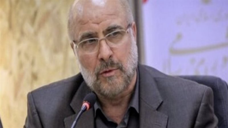 رئيس مجلس الشورى