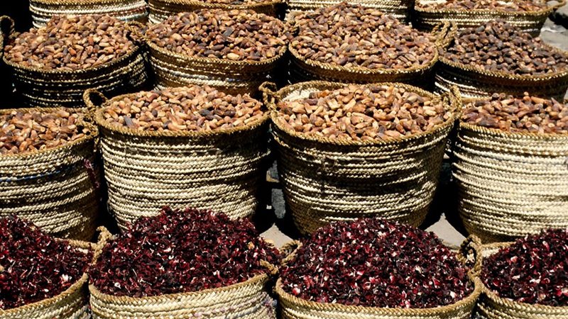 سعر البلح اليوم،