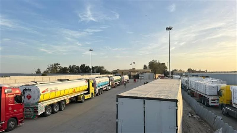 الهلال الاحمر المصري،