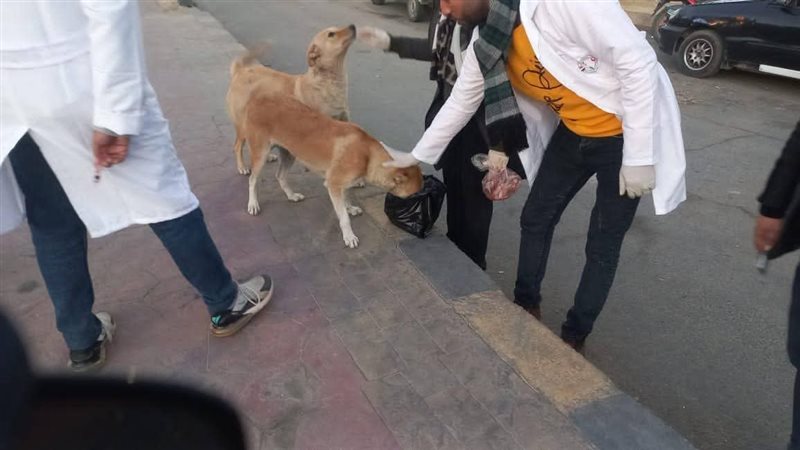 مدير الطب البيطري