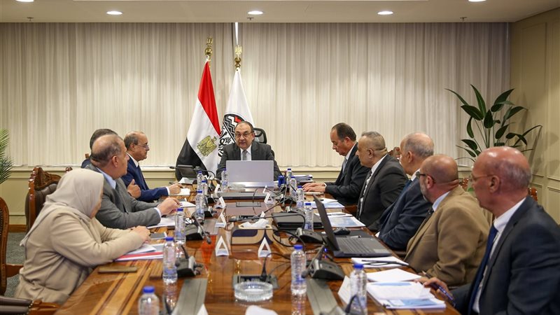 المهندس محمد الشيمي