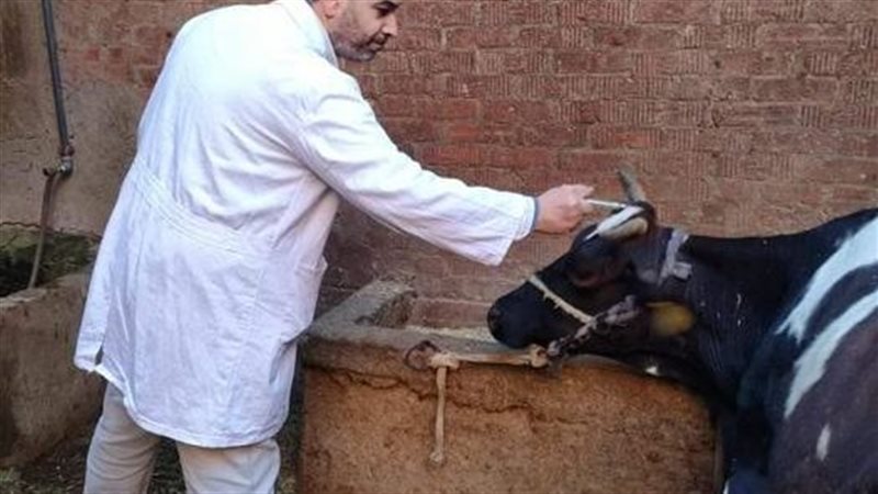  قافلة علاجية بيطرية،