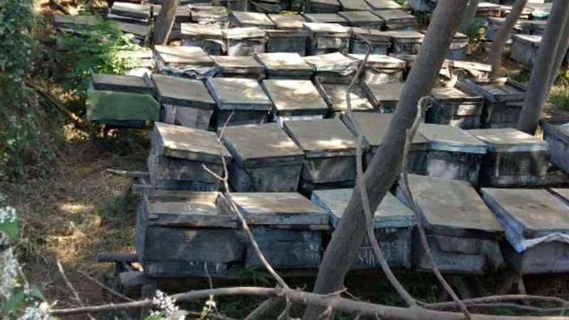 تنفيذ 336 مشروعًا
