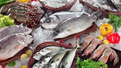 سعر السمك اليوم، البلطي يعاود الارتفاع وانخفاض الجمبري 40 جنيها