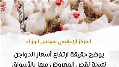 الوزراء يوضح حقيقة ارتفاع أسعار الدواجن نتيجة نقص المعروض منها بالأسواق 