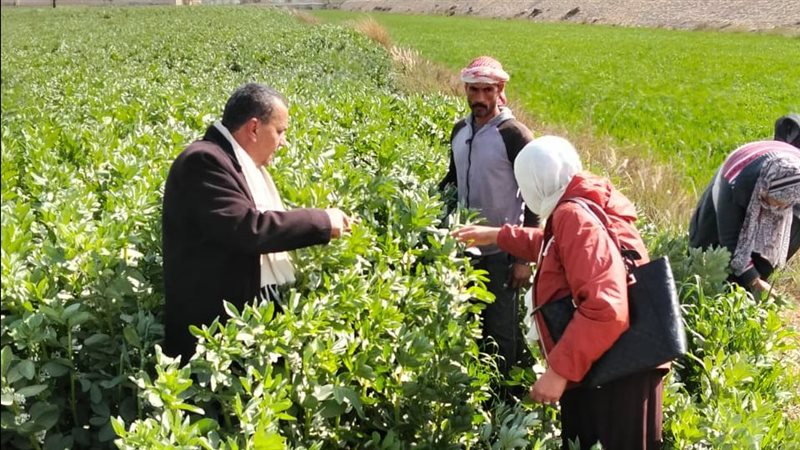 جانب من فاعليات قافلة