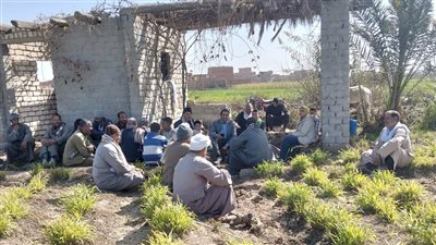 زراعة الفيوم تنظم يوما حقليا عن النباتات الطبية والعطرية 