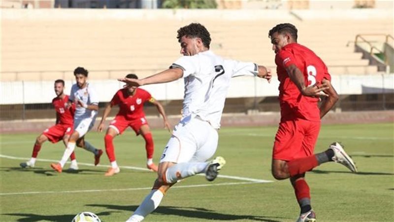 دوري المحترفين