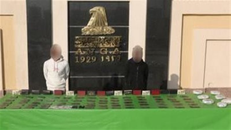 ضبط عناصر إجرامية