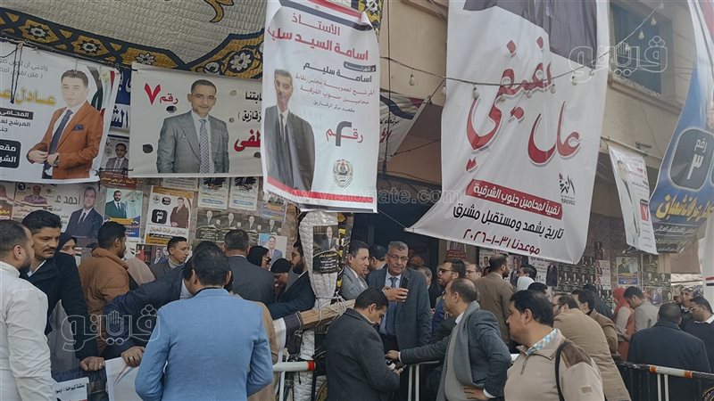 انتخابات المحامين،