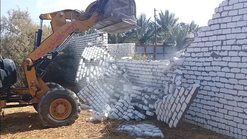جانب من حملات الإزالة،