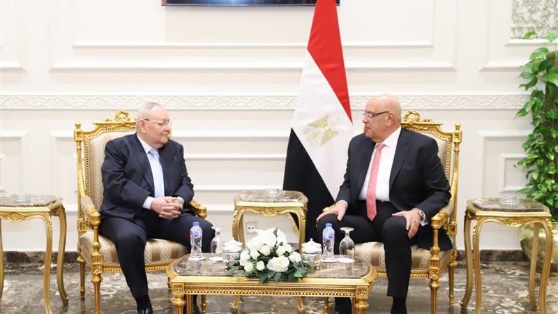رئيس مجلس الدولة