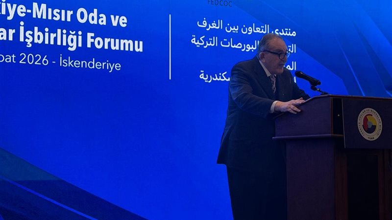 أحمد الوكيل رئيس