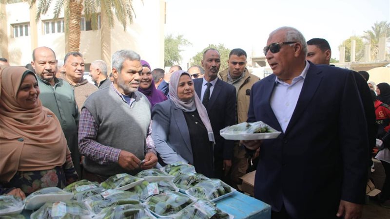 محافظ الوادي الجديد،