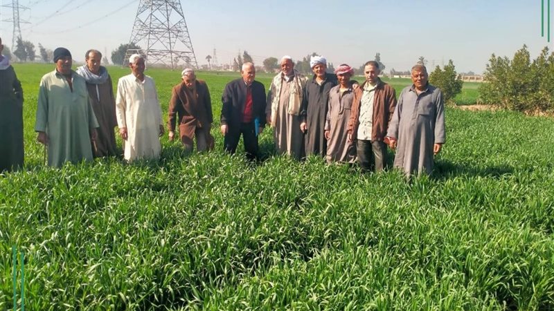 زراعة الشرقية 