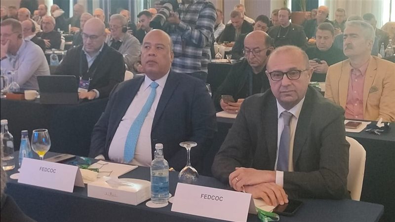 أيمن العشري خلال