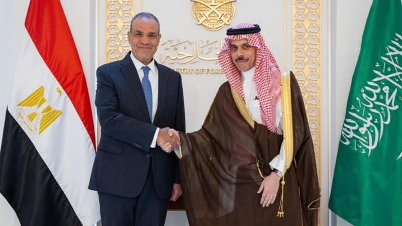 وزير الخارجية ونظيرة