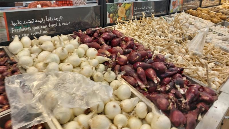 محافظة المنيا 