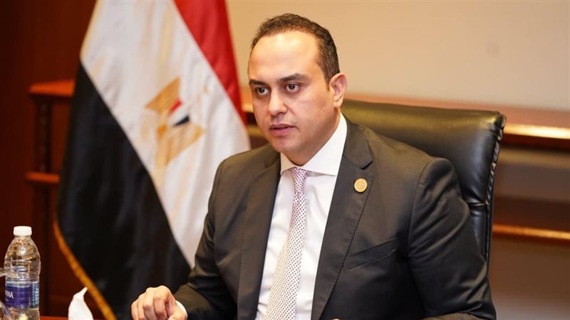 د.أحمد السبكي رئيس