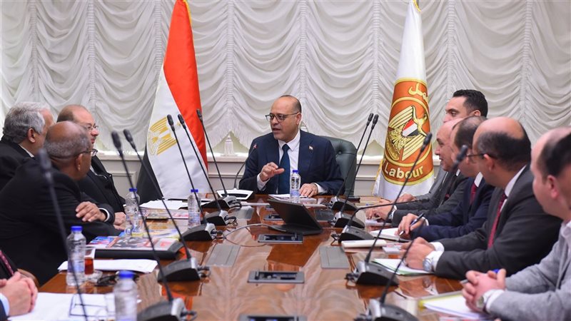وزير العمل يلتقي
