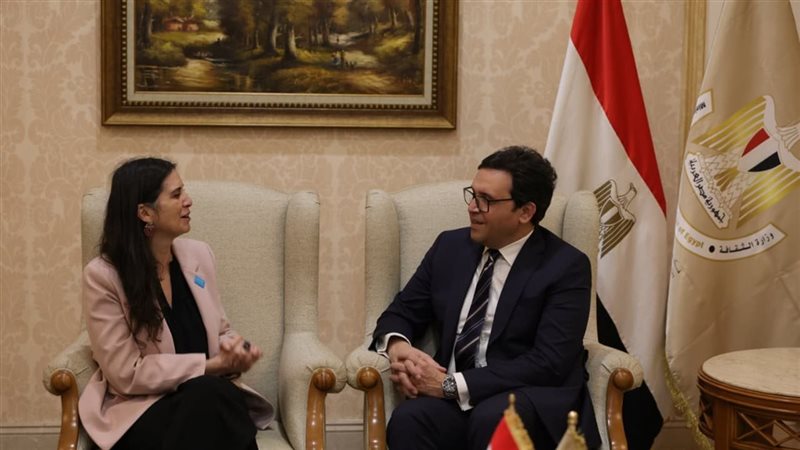 أحمد هنو وزير الثقافة