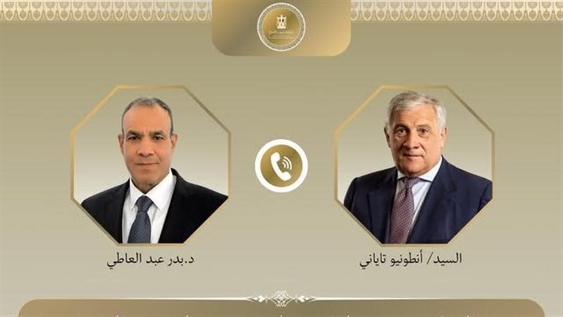 وزير الخارجية المصرى