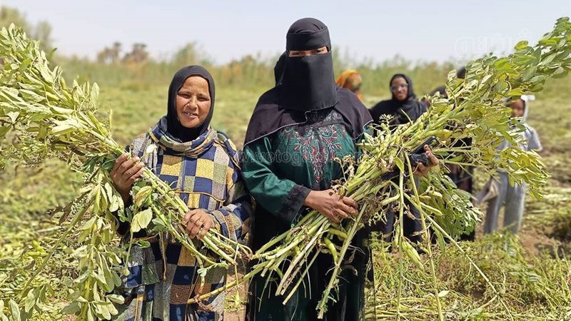 مشروع تعزيز الزراعة