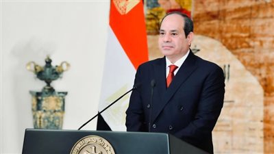 مصر وتركيا تشددان على ضرورة معالجة معضلة الإرهاب في منطقة الساحل