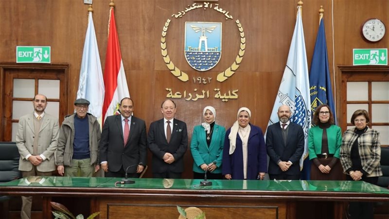 الاسكندريه 