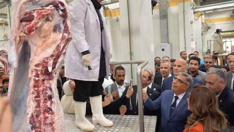 مجزر السنبلاوين،