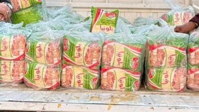 تحرير 100 مخالفة في حملة تموينية مكبرة بالفيوم