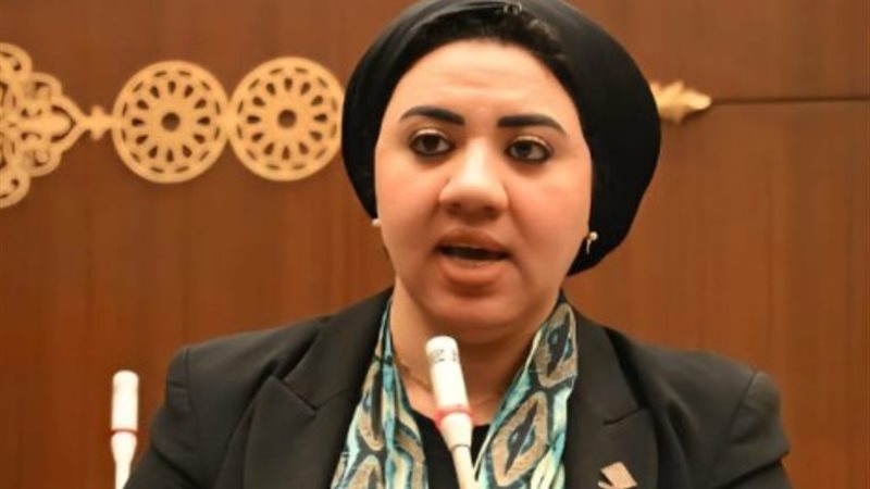 النائبة أميرة صابر،