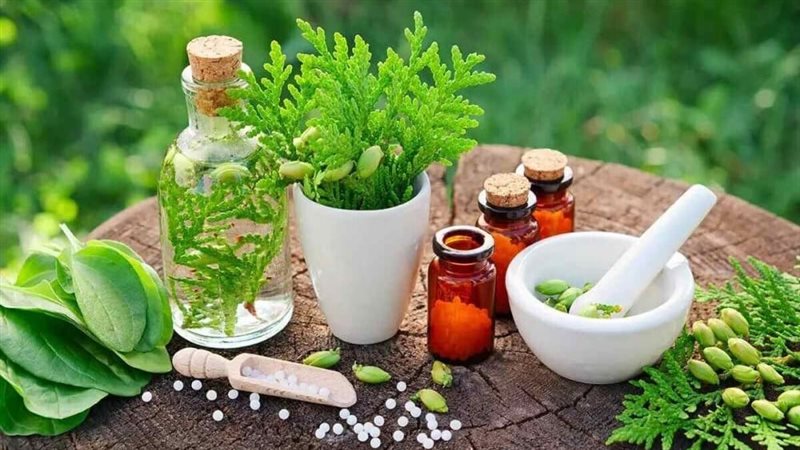 اعشاب تقوي بصيلات