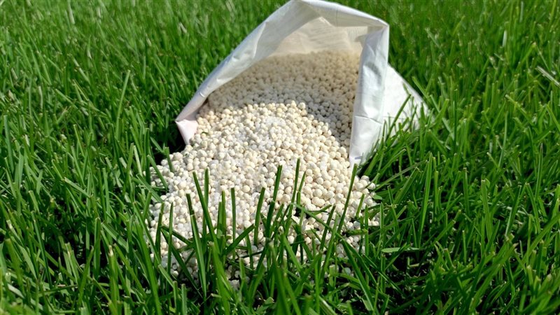 سعر السماد اليوم،