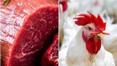 أسعار اللحوم والدواجن خارج السيطرة مع اقتراب شهر رمضان، «الثروة الداجنة»: المنظومة بحاجة لآلية حاكمة لضبط الأسعار، «القصابين»: مينفعش اللحمة البلدي تباع بأقل من 400 جنيه