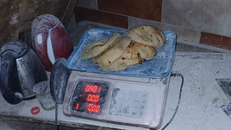 جانب من أعمال الحملات،