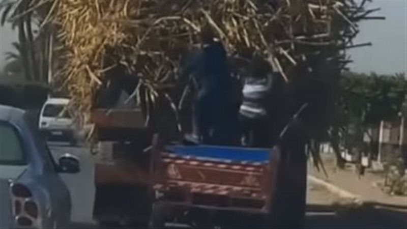 شاب حاول سرقة عود